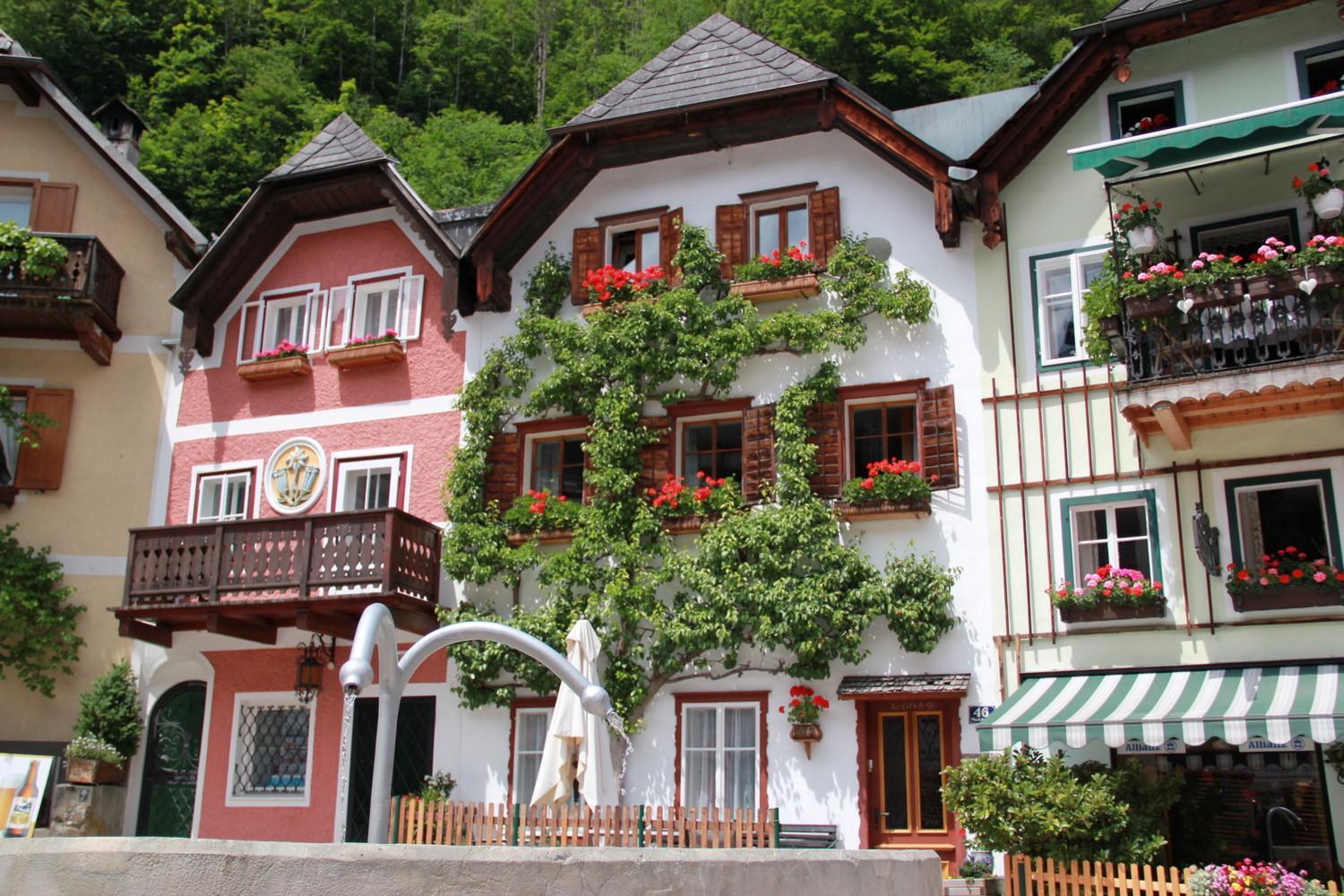 Apartments Gamsfeld Russbach am Pass Gschutt Εξωτερικό φωτογραφία