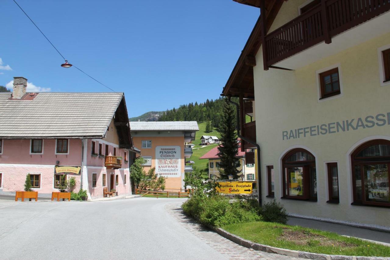 Apartments Gamsfeld Russbach am Pass Gschutt Εξωτερικό φωτογραφία
